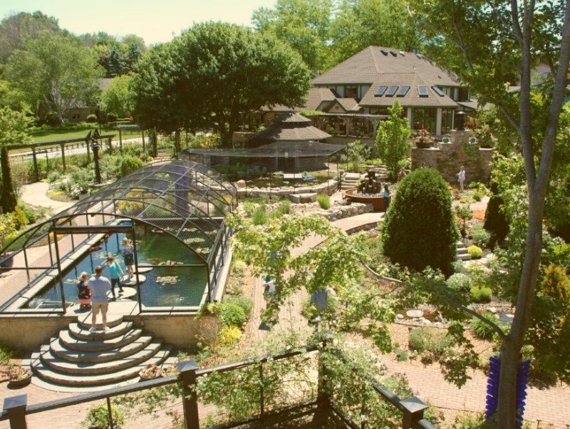 Open Garden Events — Rose Innovations